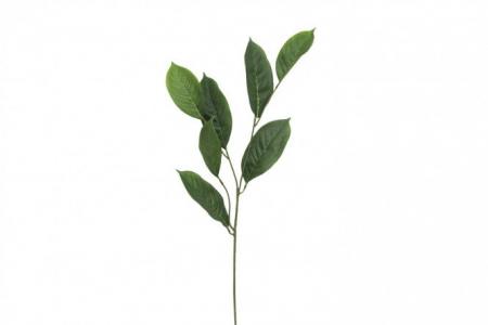 Искусственное растение Ветка лавра Hoff. Цвет: зелёный